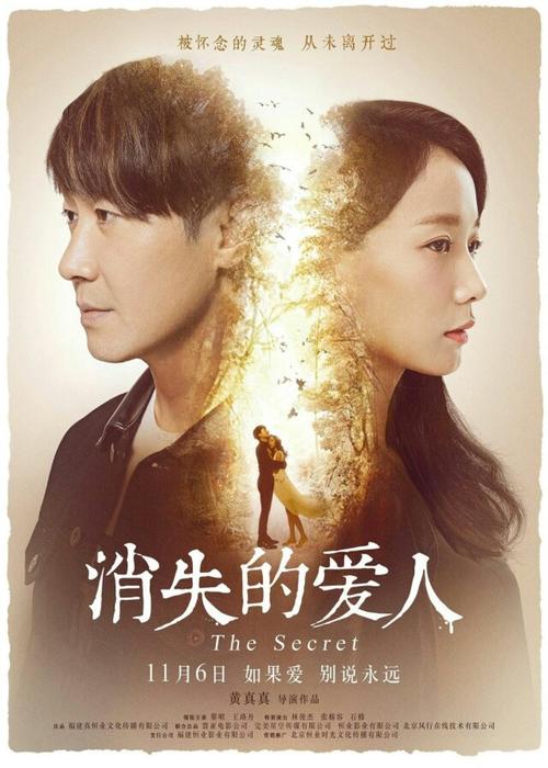 波兰驾驶证怎么买假的